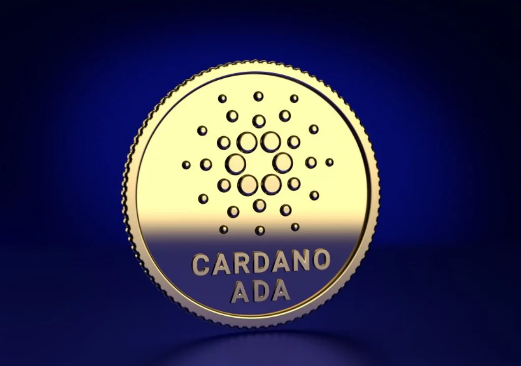 dong-coin-cardano2